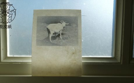 鹿皮紙製　写真ポストカード　